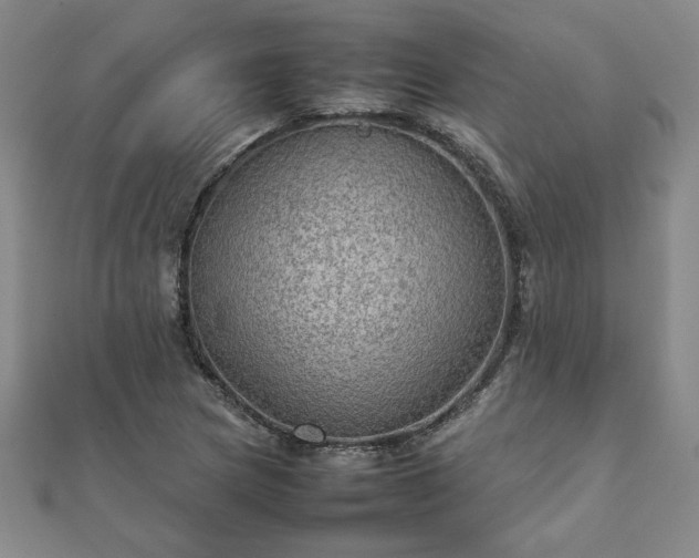 X0000111901217200908031110