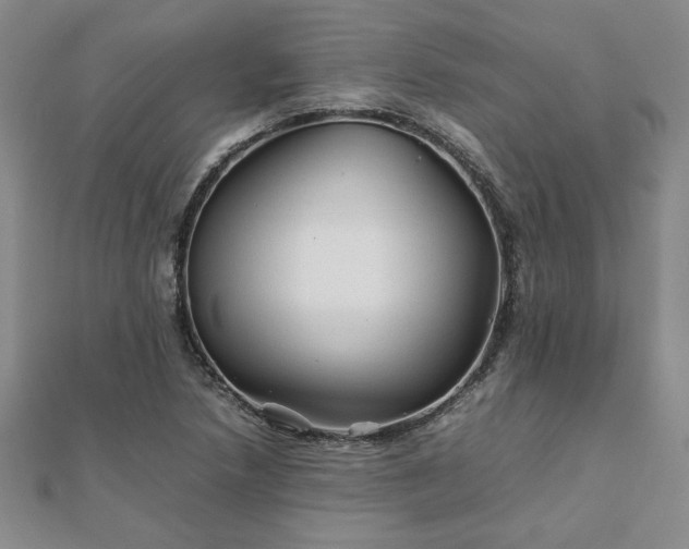 X0000111901218200908031110