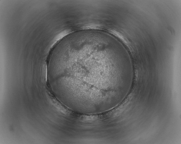 X0000111901219200908031110