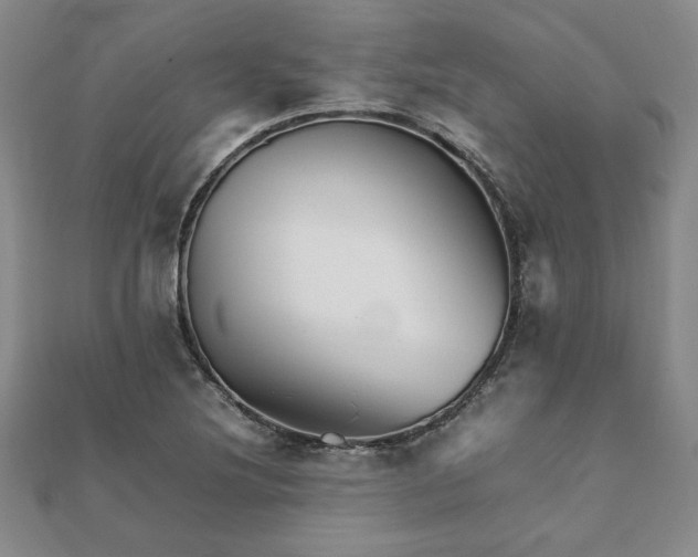 X0000111901220200908031110