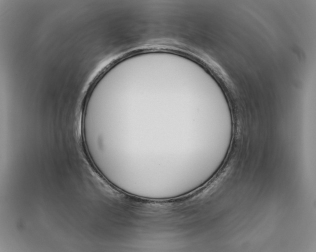 X0000111901224200908031110