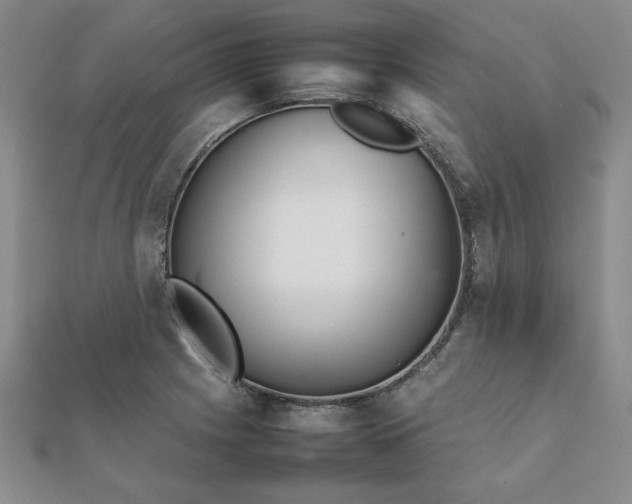 X0000111901225200908031110