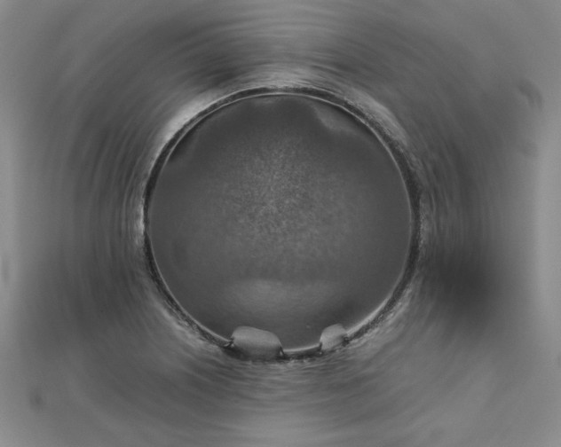 X0000111901226200908031110