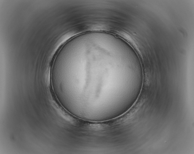 X0000111901227200908031110