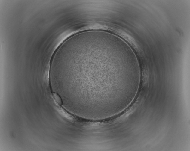 X0000111901228200908031110