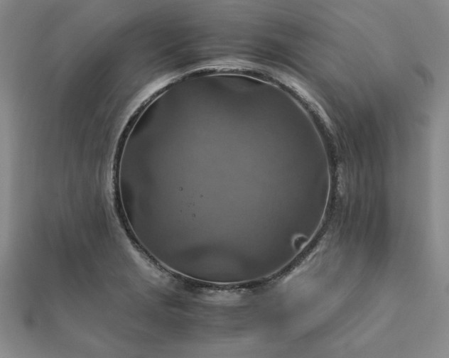 X0000111901229200908031110