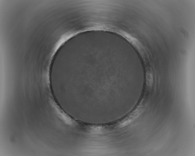 X0000111901230200908031110