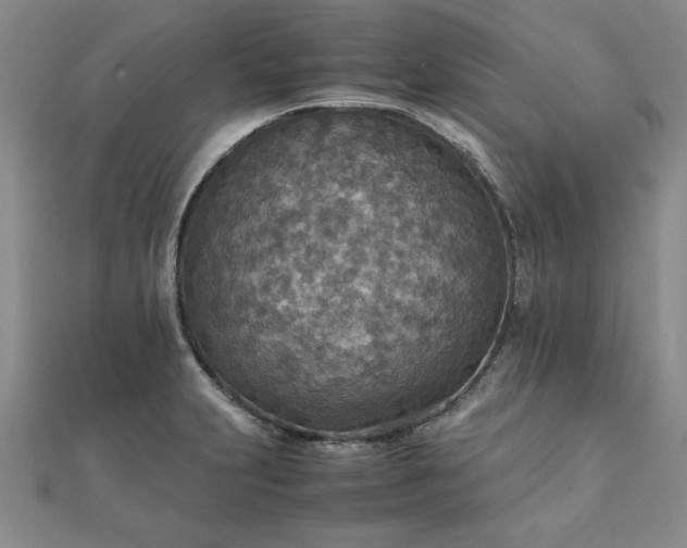 X0000111901231200908031110