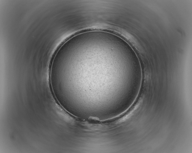 X0000111901232200908031110