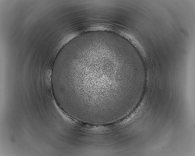 X0000111901233200908031110