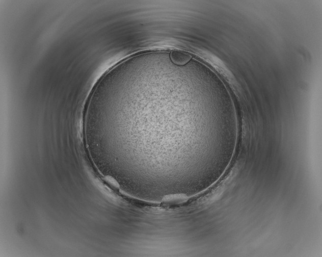 X0000111901234200908031110