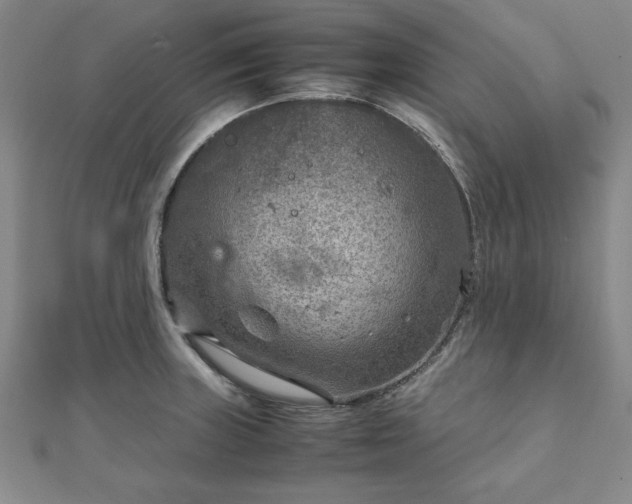 X0000111901235200908031110