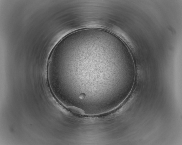 X0000111901236200908031110