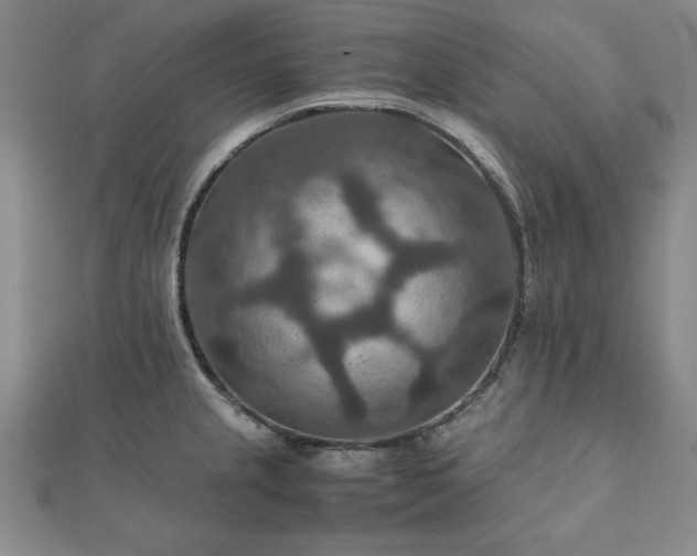 X0000111901237200908031110