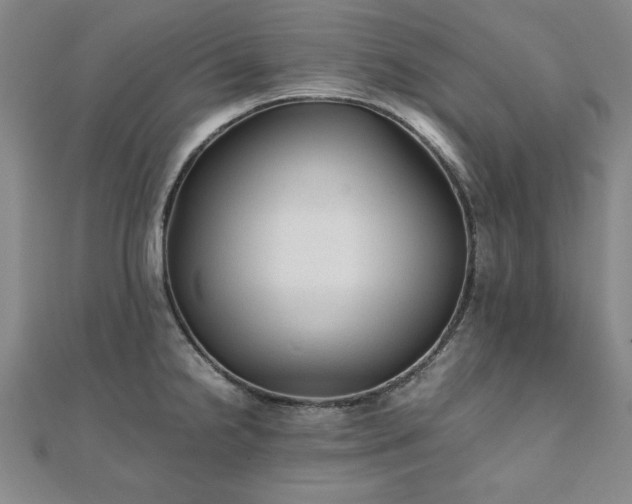 X0000111901238200908031110