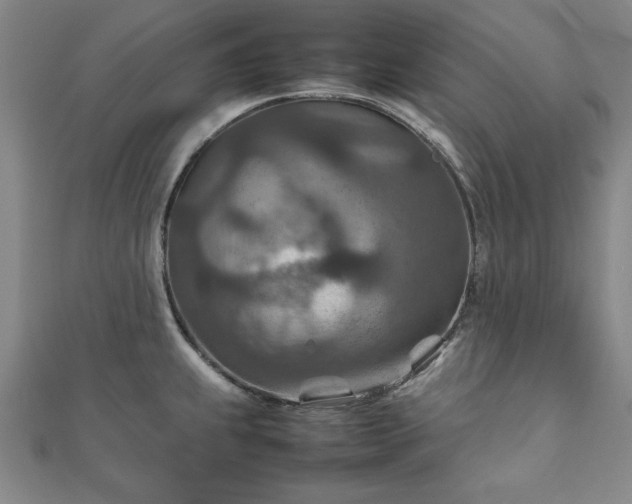 X0000111901239200908031110