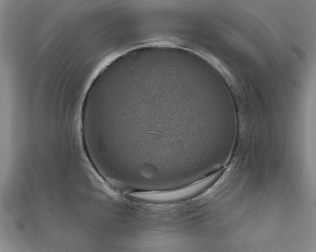 X0000111901240200908031110