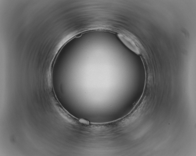 X0000111901242200908031110