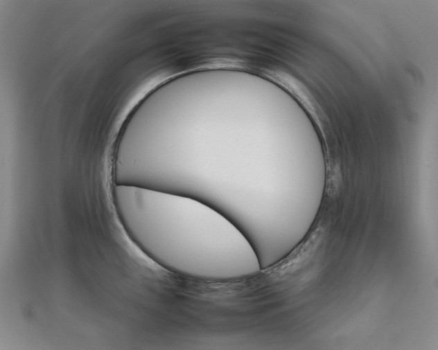 X0000111901243200908031110