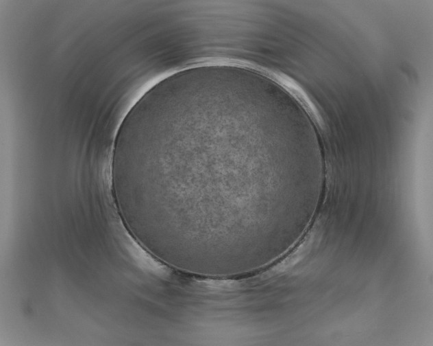 X0000111901244200908031110