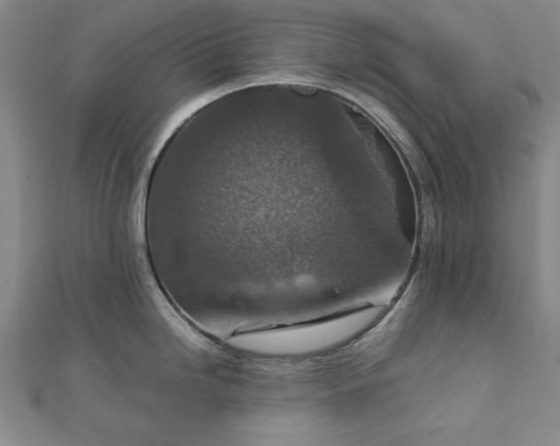 X0000111901246200908031110