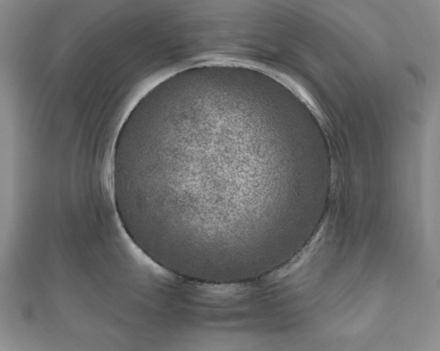 X0000111901247200908031110