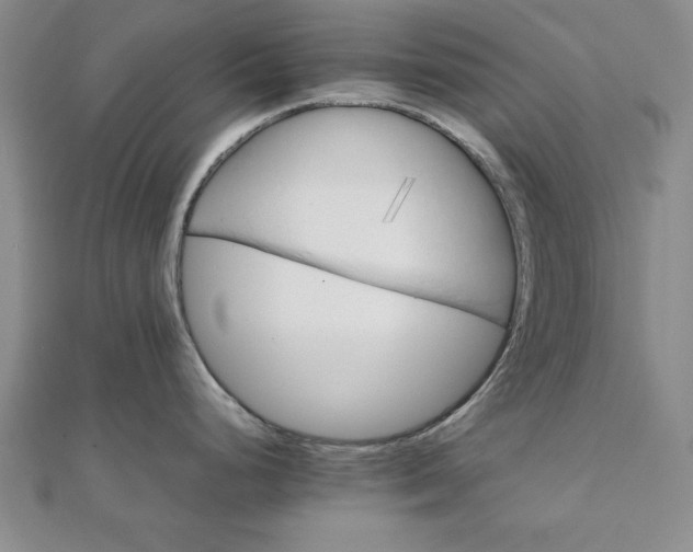 X0000111901248200908031110