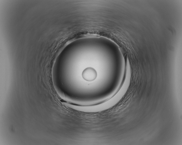 X0000111901249200908031110