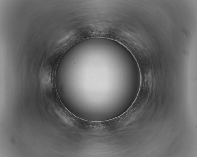 X0000111901250200908031109