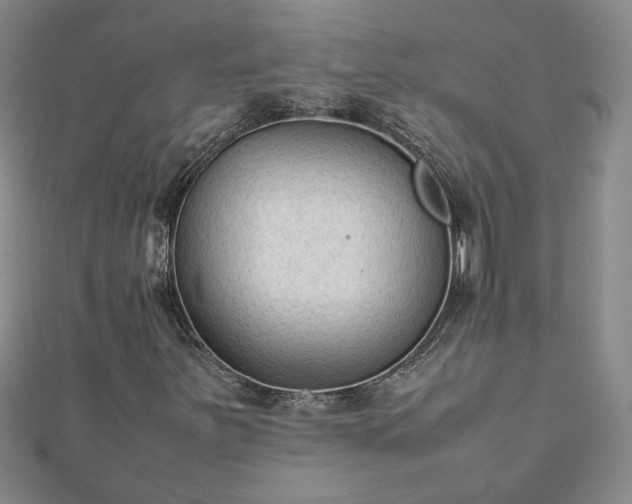 X0000111901251200908031109