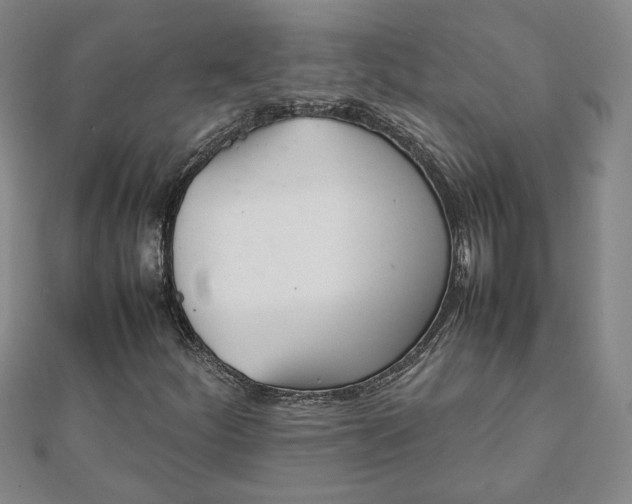 X0000111901252200908031109