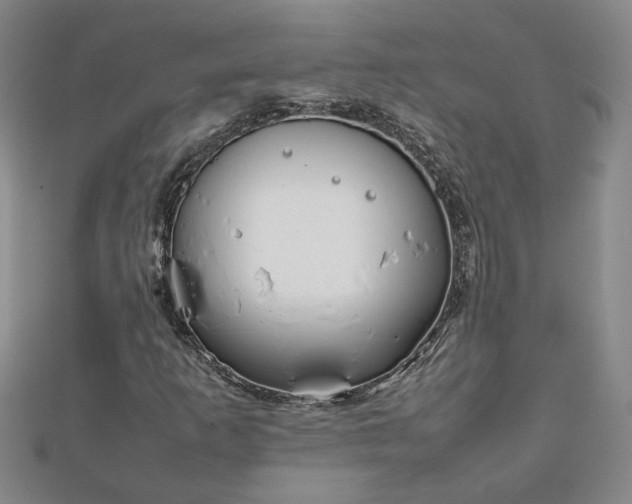 X0000111901253200908031109