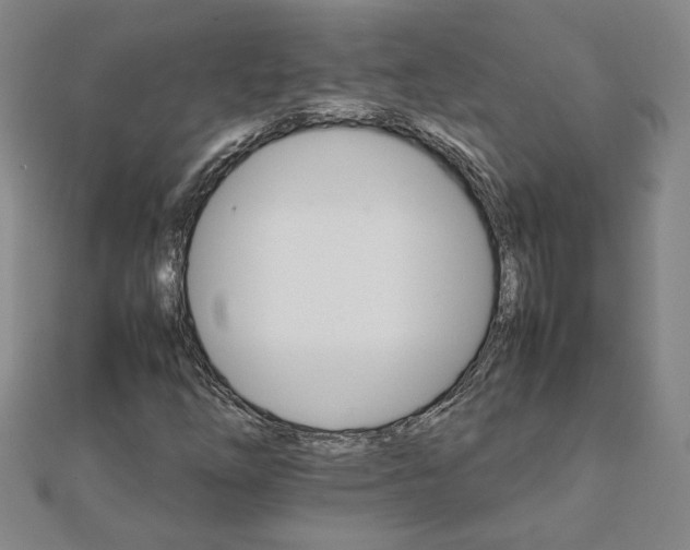 X0000111901254200908031109