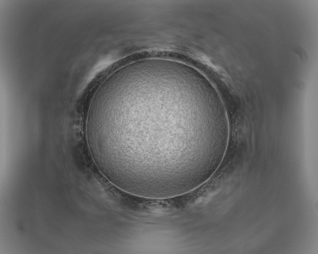 X0000111901255200908031109