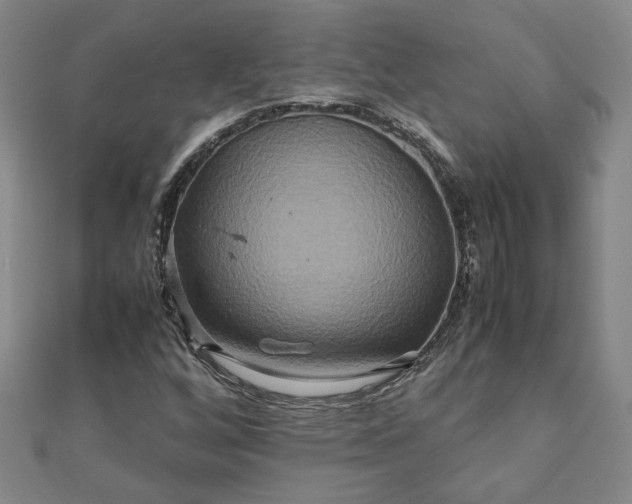 X0000111901256200908031109