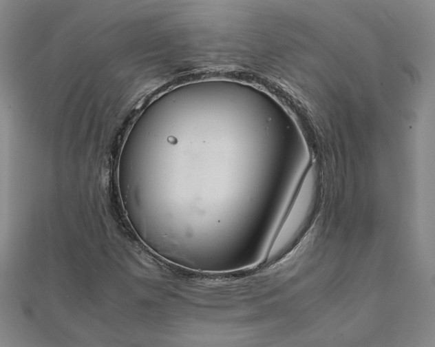 X0000111901257200908031109