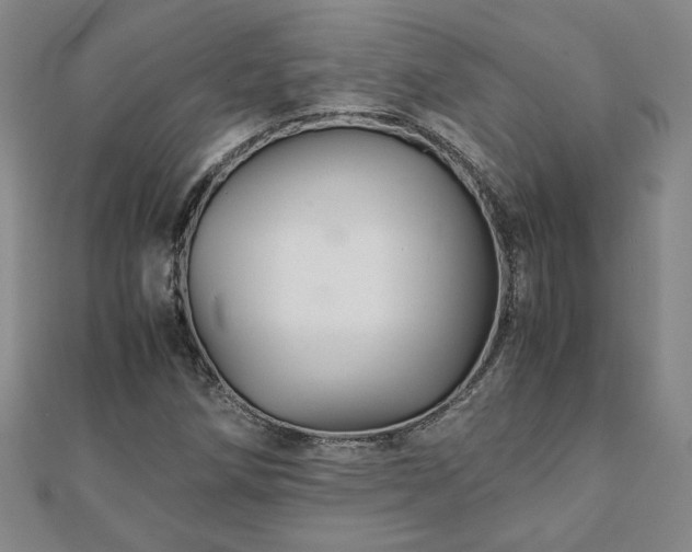 X0000111901258200908031109