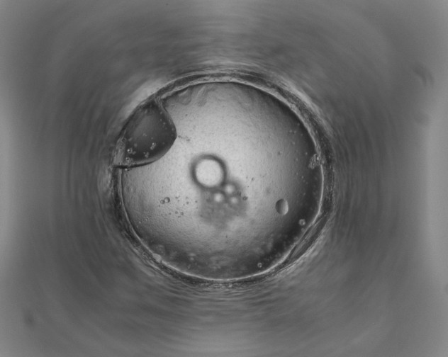 X0000111901259200908031109