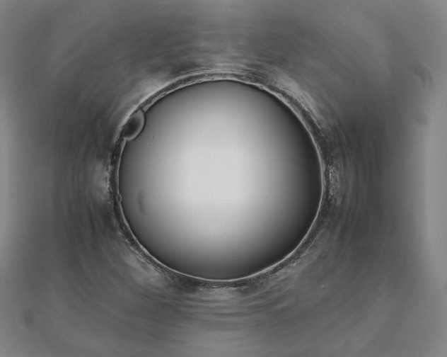 X0000111901260200908031109