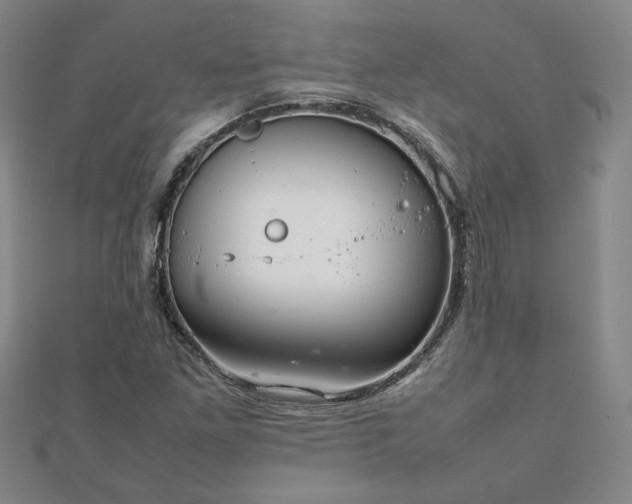 X0000111901261200908031109