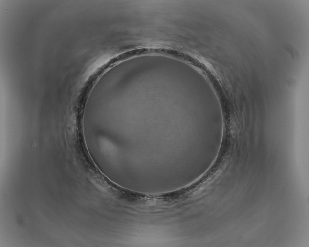 X0000111901263200908031109