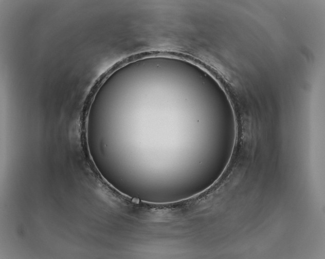 X0000111901264200908031109