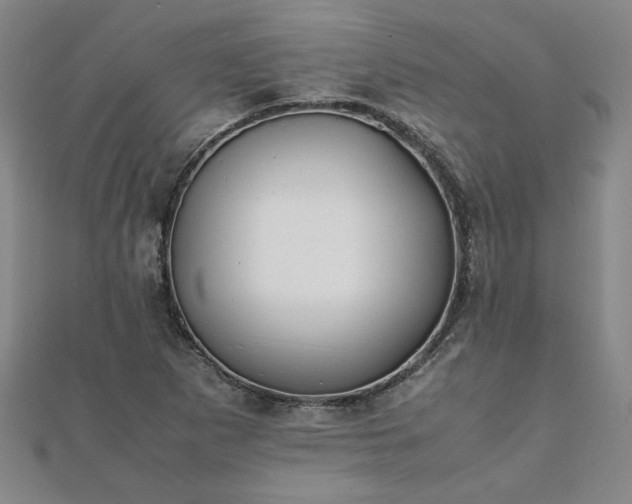 X0000111901265200908031109