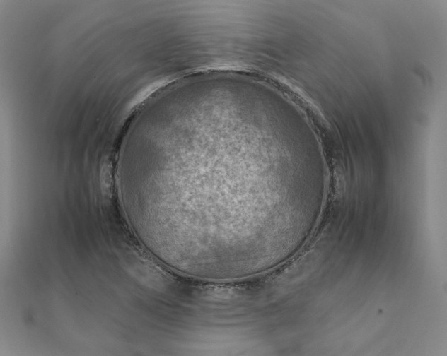 X0000111901266200908031109