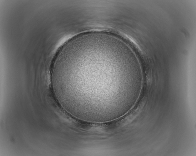 X0000111901267200908031109