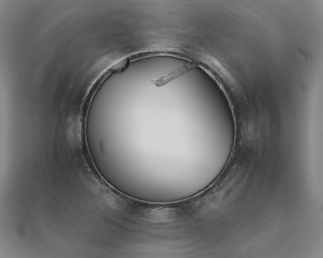 X0000111901268200908031109