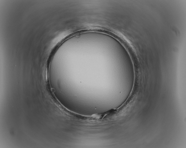 X0000111901269200908031109