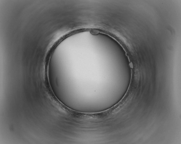 X0000111901270200908031109