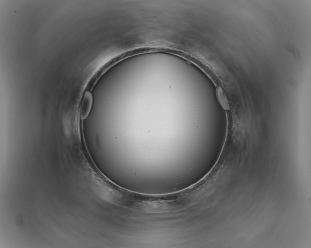 X0000111901272200908031109