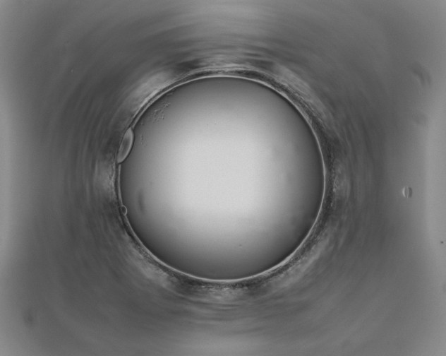 X0000111901273200908031109